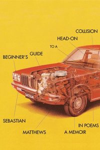 bokomslag Beginner's Guide to a Head-On Collision