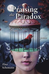 bokomslag Praising the Paradox