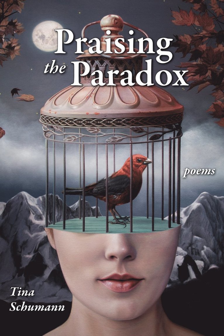 Tina Schumann - Praising the Paradox, Häftad