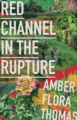 Amber Flora Thomas - Red Channel in the Rupture, Häftad