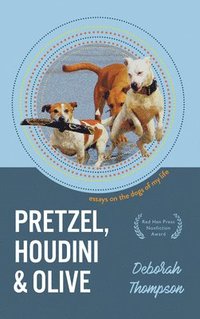 bokomslag Pretzel, Houdini & Olive: Essays On the Dogs of My Life