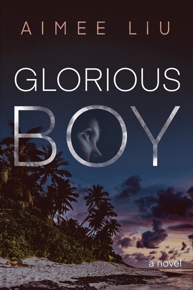 Aimee Liu - Glorious Boy, Häftad