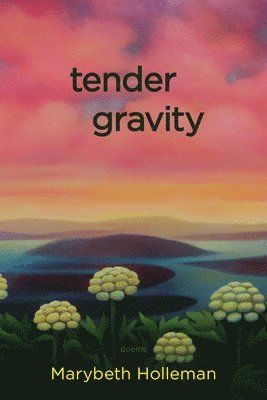 Marybeth Holleman - tender gravity, Häftad