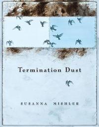 bokomslag Termination Dust