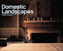 Bert Teunissen: Domestic Landscapes, Inbunden. Tillgänglighet: Tillfälligt slut