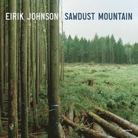 bokomslag Eirik Johnson: Sawdust Mountain