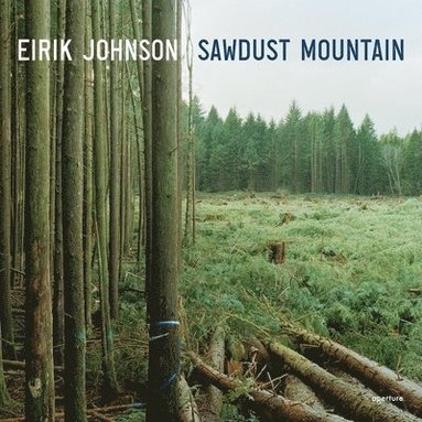 bokomslag Eirik Johnson: Sawdust Mountain