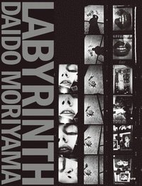 bokomslag Daido Moriyama: Labyrinth