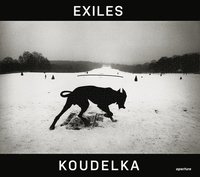 bokomslag Josef Koudelka