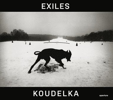 Josef Koudelka, Czeslaw Milosz - Josef Koudelka, Inbunden