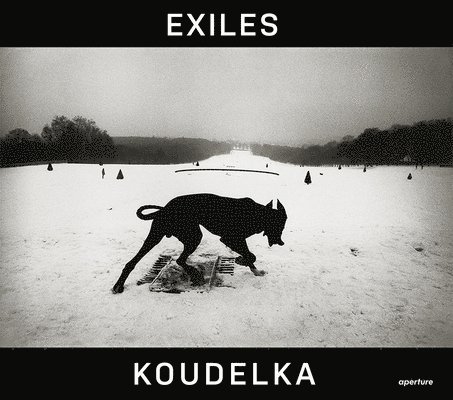 Josef Koudelka 1