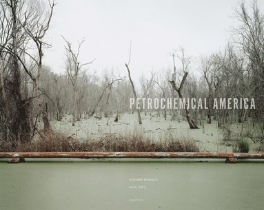 bokomslag Petrochemical America