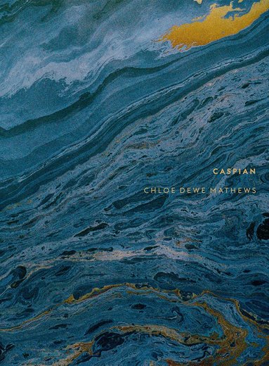 Sean O'Hagan, Arnold van Bruggen - Chloe Dewe Mathews: Caspian: The Elements, Inbunden
