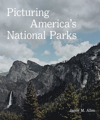 bokomslag Picturing Americas National Parks