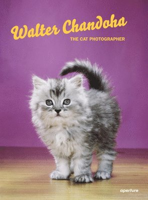 Walter Chandoha: The Cat Photographer 1