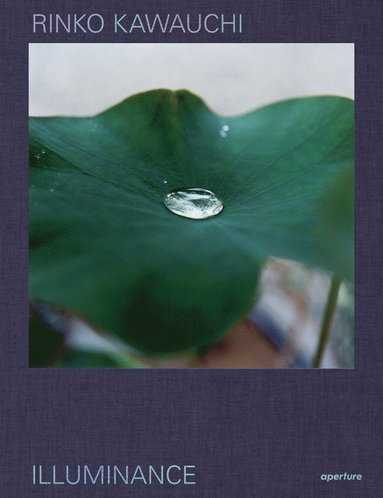 bokomslag Rinko Kawauchi: Illuminance