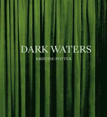 bokomslag Kristine Potter: Dark Waters