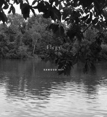 bokomslag Dawoud Bey: Elegy