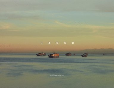 bokomslag Richard Misrach: Cargo