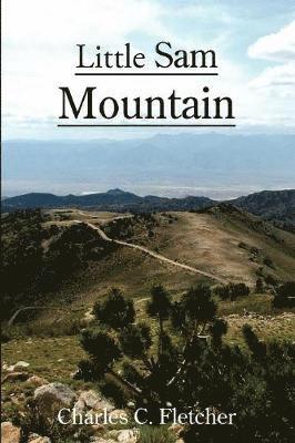 Little Sam Mountain
