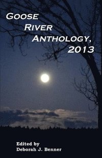 bokomslag Goose River Anthology, 2013