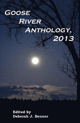 bokomslag Goose River Anthology, 2013