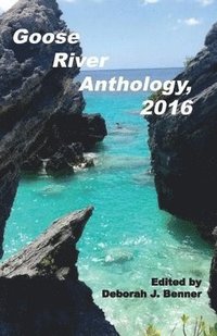 bokomslag Goose River Anthology, 2016