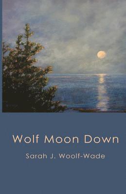 bokomslag Wolf Moon Down