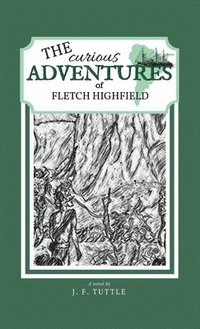 bokomslag The Curious Adventures of Fletch Highfield