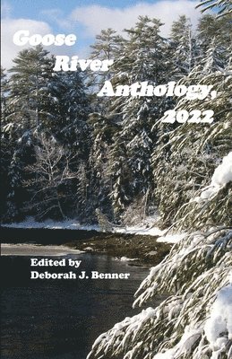 bokomslag Goose River Anthology, 2022