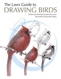 bokomslag The Laws Guide to Drawing Birds