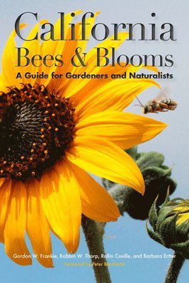California Bees and Blooms 1