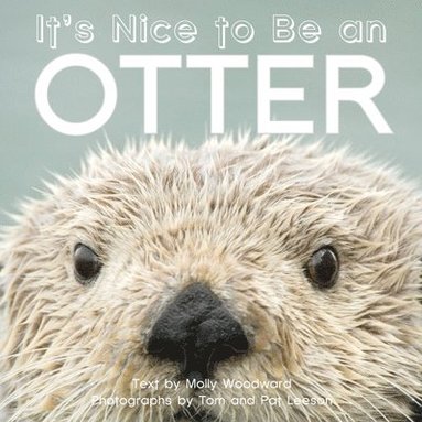 bokomslag It's Nice to Be an Otter