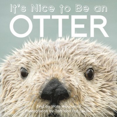 It's Nice to Be an Otter 1