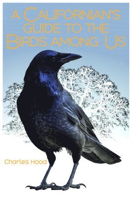 A Californian's Guide to the Birds among Us 1