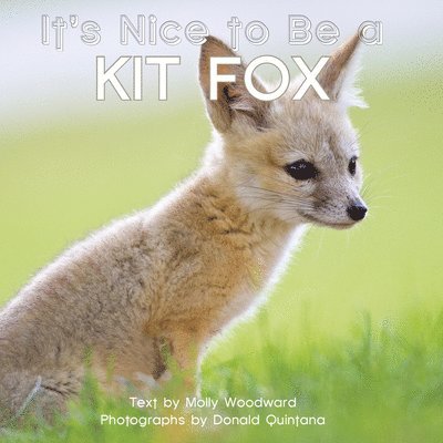 Molly Woodward - It's Nice to Be a Kit Fox, Kartonnage