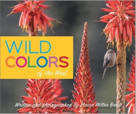 Wild Colors of the West 1