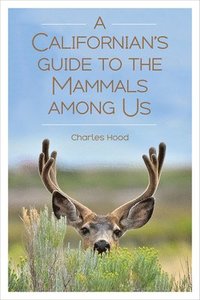 bokomslag A Californian's Guide to the Mammals among Us