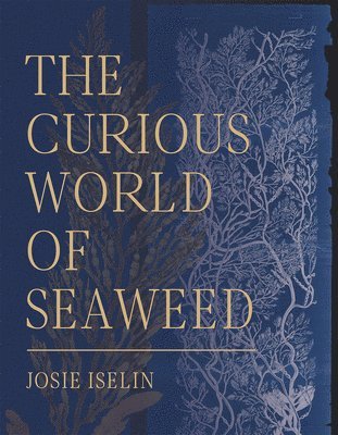 The Curious World of Seaweed 1