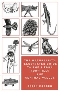 bokomslag The Naturalist's Illustrated Guide to the Sierra Foothills and Central Valley