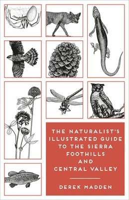 The Naturalist's Illustrated Guide to the Sierra Foothills and Central Valley 1