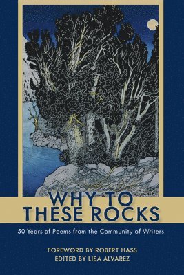 bokomslag Why to These Rocks