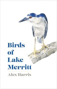 bokomslag Birds of Lake Merritt