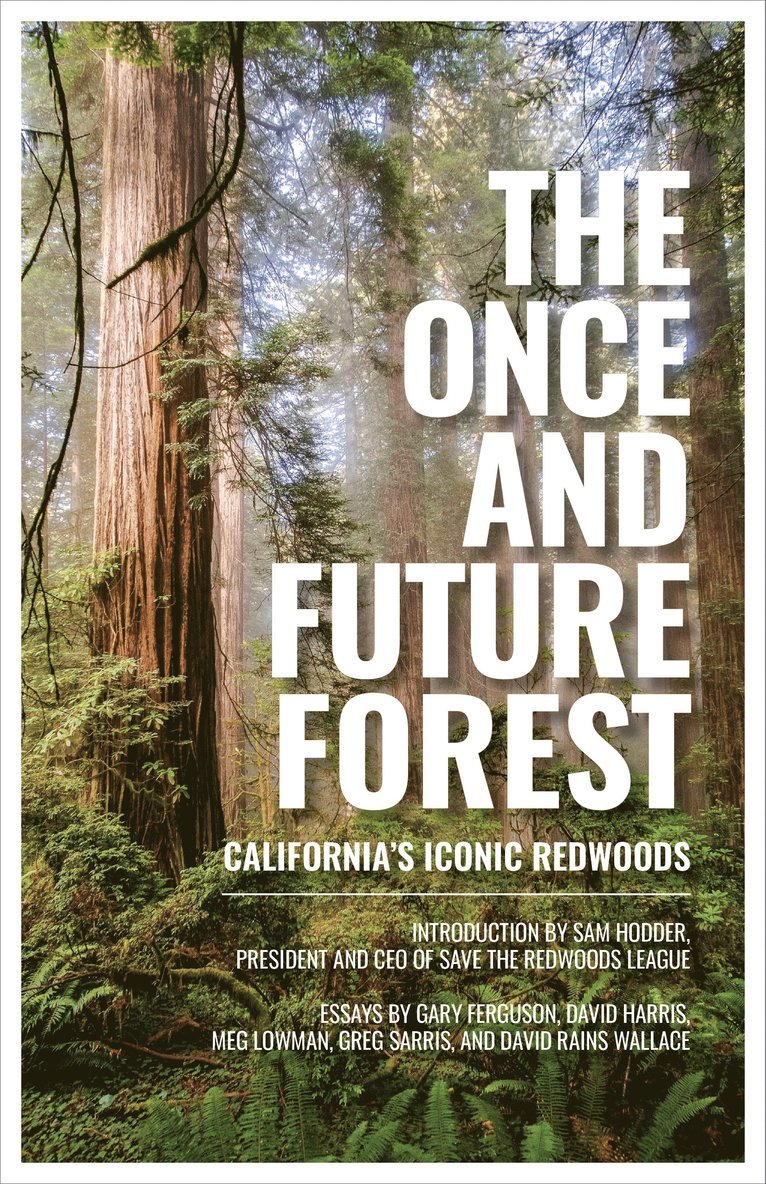 Once and Future Forest 1