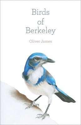 bokomslag Birds of Berkeley