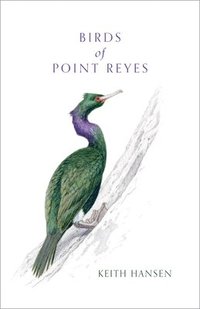 bokomslag Birds of Point Reyes