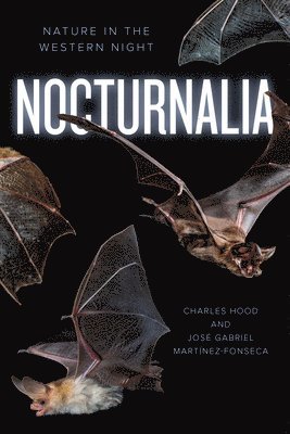 Nocturnalia 1