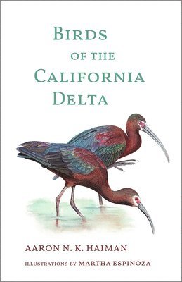bokomslag Birds of the California Delta
