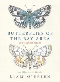 bokomslag Butterflies of the Bay Area and (Slightly) Beyond