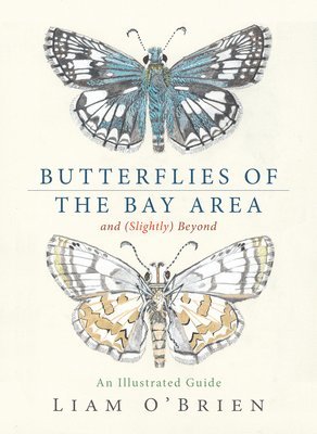 bokomslag Butterflies of the Bay Area and (Slightly) Beyond